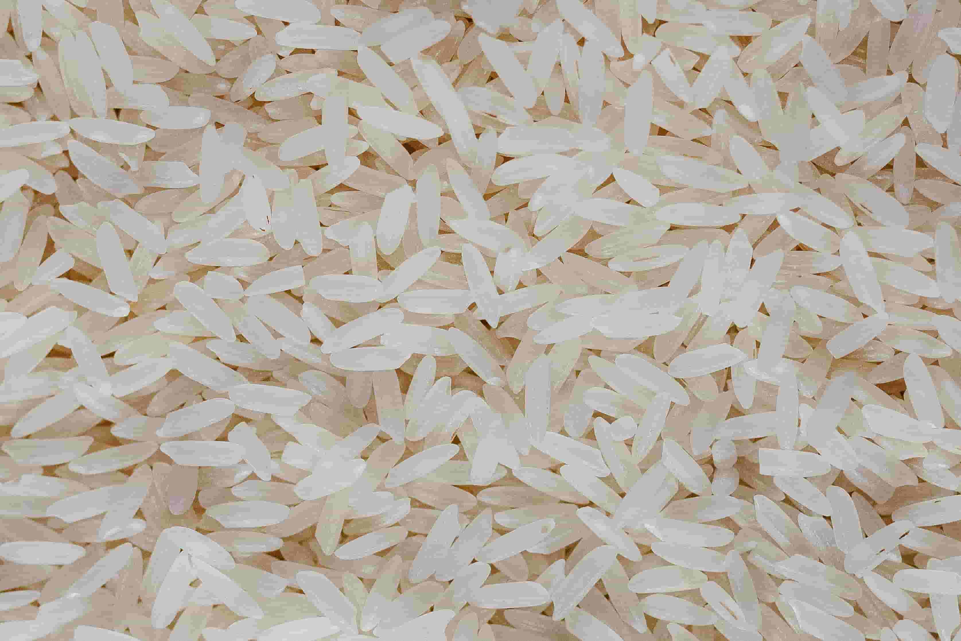 Rice Export India