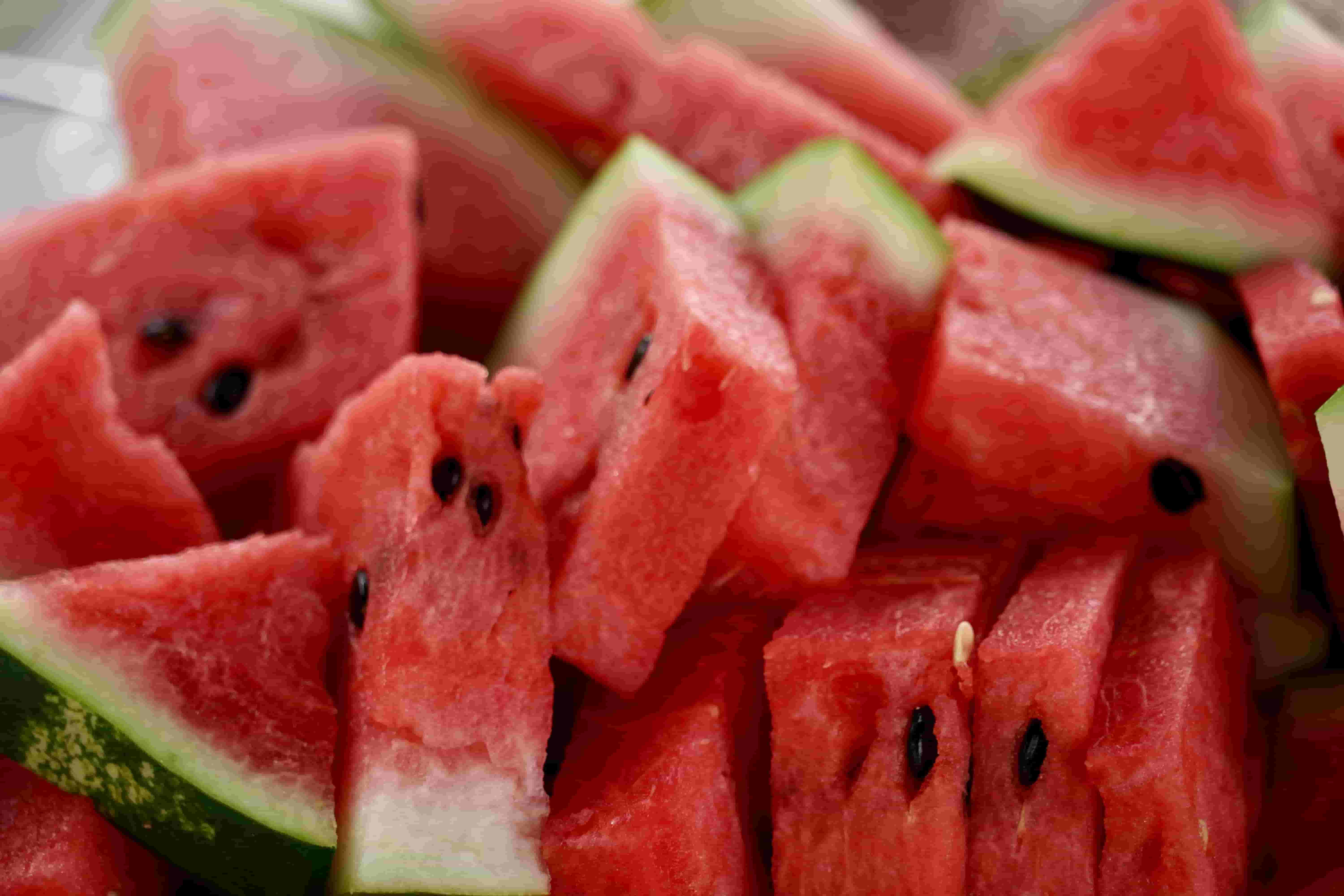 Watermelon Export India