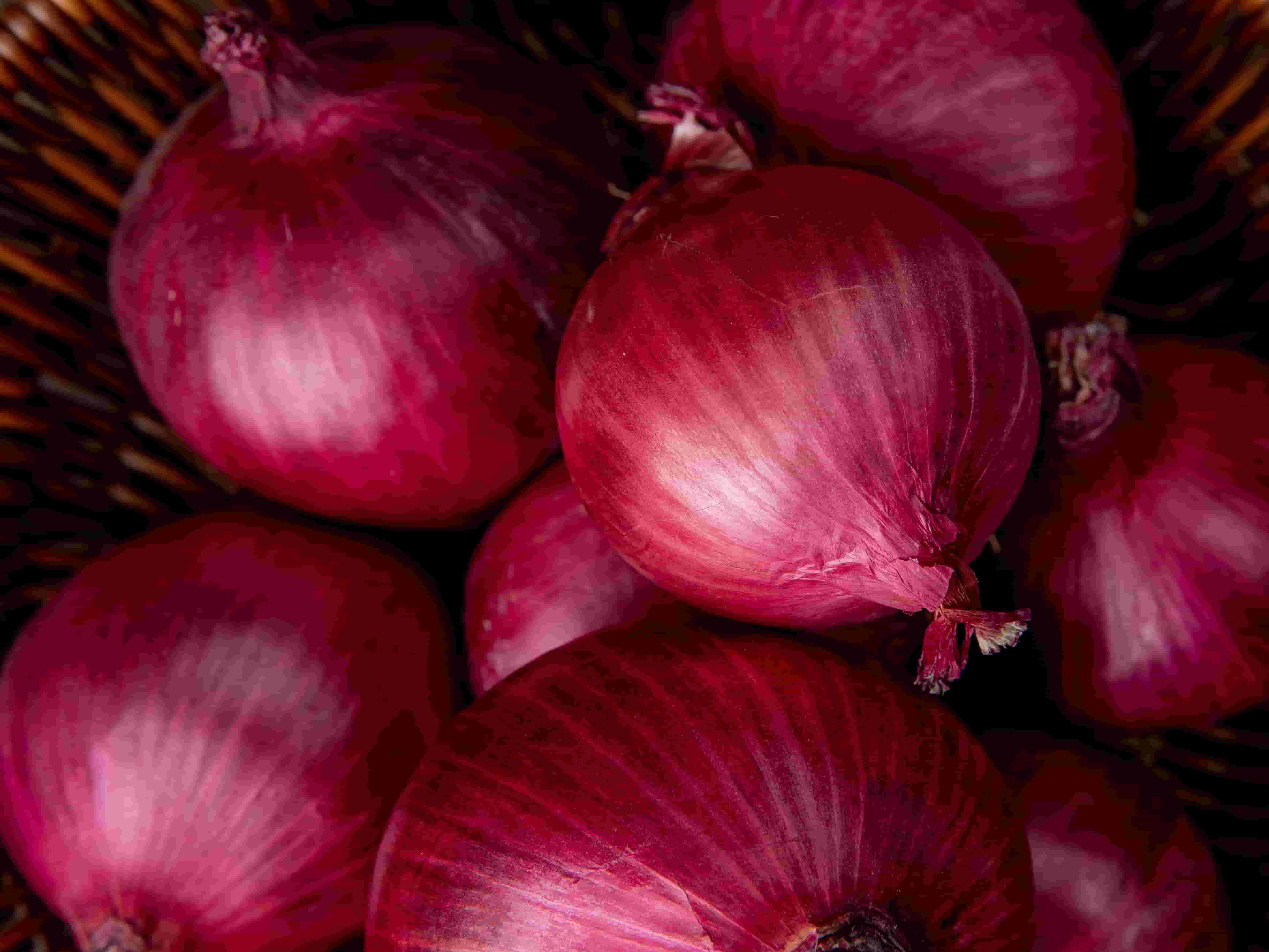 Fresh Onion Export India